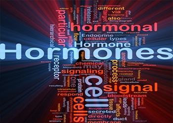 Leptin Hormonu Nedir